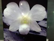 Декорированное стекло и зеркало для мебельных производств.