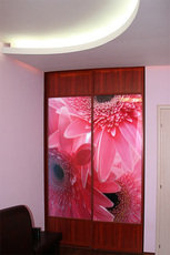 Шкафы-купе фотопечать