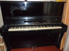 Отдам бесплатно