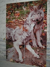 Мебель с фасадами с фотомолекулярным полноцветом.