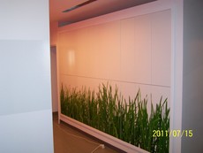 Мастерская мебели предлагает