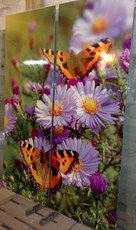 Для производителей мебели! ФМП, Лакобель. Художка. Эмалит.