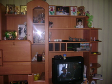 ПРОДАМ ГОРКУ