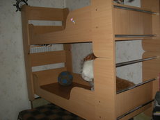 Продам 2-х ярусную кровать