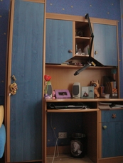 Продам диван-кровать б/у 1 год в идеальном состоянии + ковер