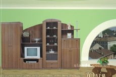 стенка юлия