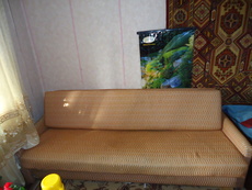 Диван 210*100 (260)