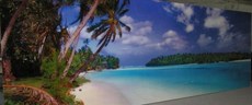 Скинали, -стеклянные кухонные фартуки с фото.