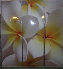 Фасады с ФМП, Лакобель. Художка. Эмалит. Пескоструй.