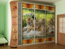 Изготовление корпусной мебели под заказ (кухни, шкафы-купе,