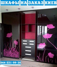 Авторские шкафы купе на заказ. Киев Bespretsedentnoye snizh