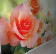 Изготовляем стеклянные и зеркальные фасады шкафов-купе