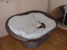 Продам Плетеное Кресло б/у 1500 грн