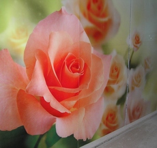 Корпусная мебель от простой до эксклюзивной.