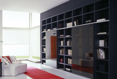 Изготовление мебели по индивидуальным заказам.