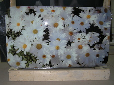 Стеклянные столешни с фотомолекулярной полноцветной печатью.