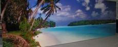 Скинали,-стеклянные кухонные фартуки с фотомолекулярной полн