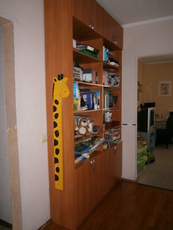 Продам книжный шкаф