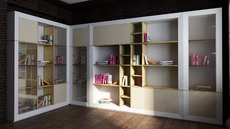 Продам стенку (библиотеку)