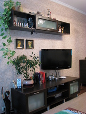 Продам мебель венге в гостинную - модерн.