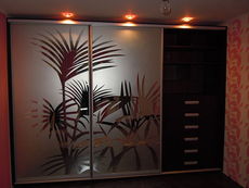 Шкаф-купе под заказ, по индивидуальным проектам