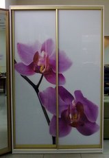 АКЦИЯ! Шкафы-купе- Доставка и сборка БЕСПЛАТНО!