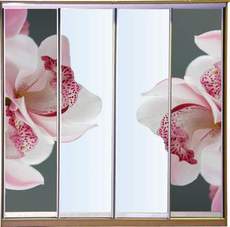 Мебель на заказ, качественно, недорого!