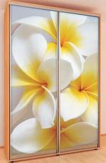 АКЦИЯ! Шкафы-купе- Доставка и сборка БЕСПЛАТНО! (только сего