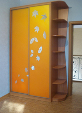 Шкафы-купе под заказ в Киеве недорого