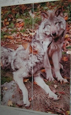 Экологически чистая фотопечать-ламинат для фасадов шкафов-ку