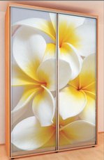 Шкафы-купе – воплотите любую Вашу идею в реальность.