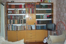 Книжная стенка