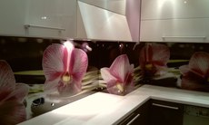 Скинали, -стеклянные стеновые панели с экологически чистой ф