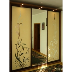 Шафи-купе "Фенікс".  Акція - доставка і збірка безкоштовно