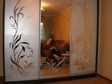 Шкаф-купе 2000 х 600 х 2400.  Цена 3311грн. Сборка бесплатна