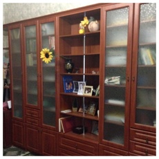 Продам шкаф для книг (библиотеку)