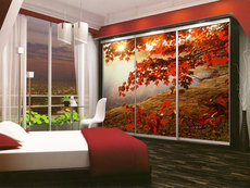 Шкаф купе с фотопечатью! Дайте волю Вашей фантазии!