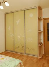 Шкафы-купе под заказ