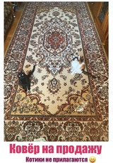 Продам ковёр для гостиной 2*3м